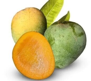 Himsagar (সাতক্ষীরার হিমসাগর) (5KG)